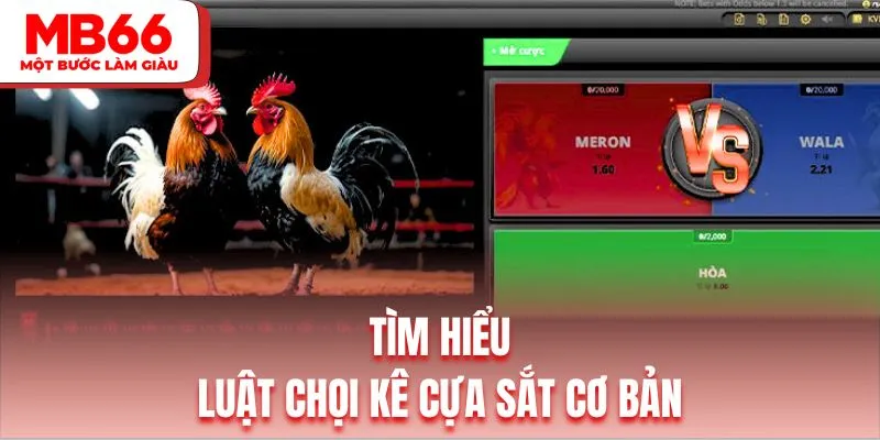 Luật chơi đá gà cựa sắt cho hội viên mới làm quen